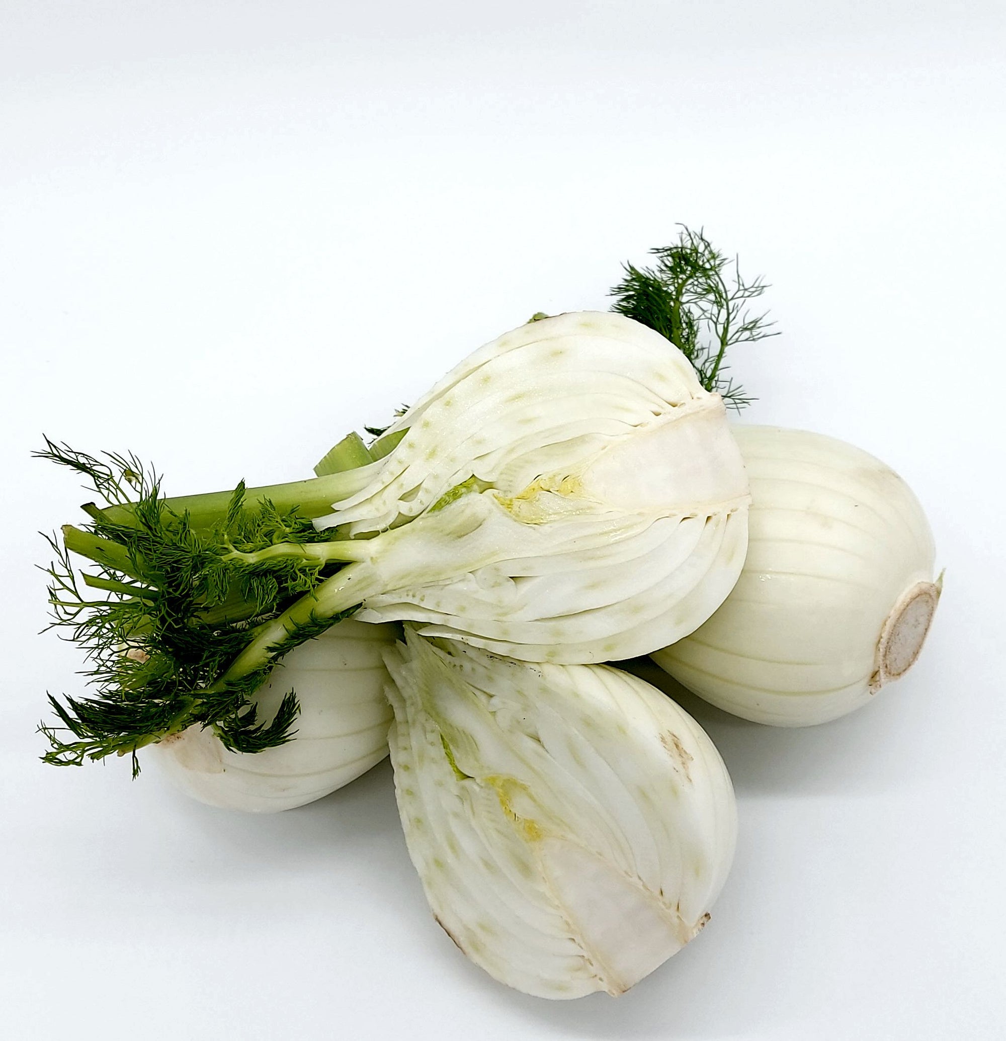 Fenchel