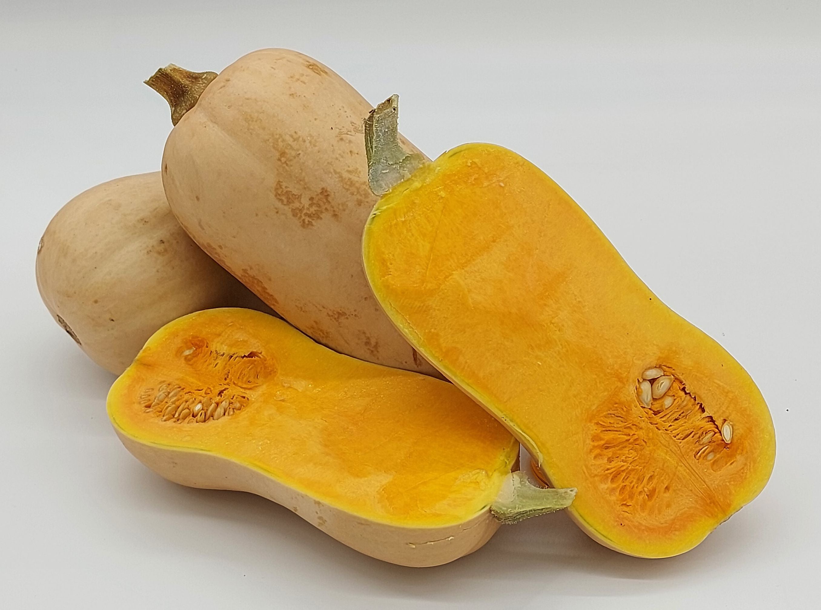 Butternut